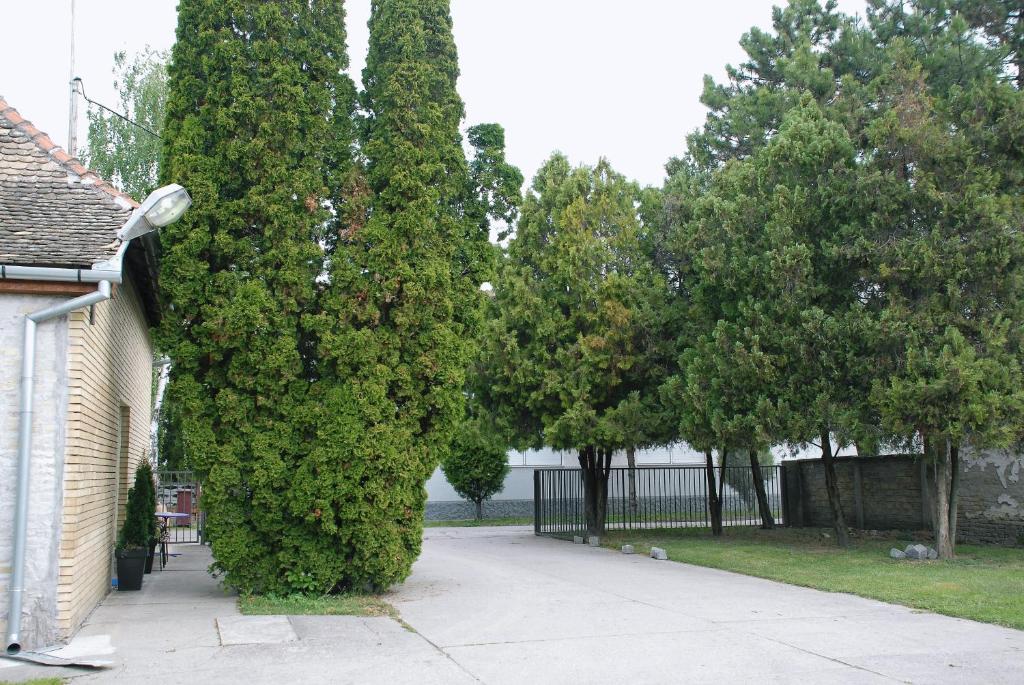 un grupo de grandes árboles junto a una casa en Bezdan Guesthouse, en Bezdan