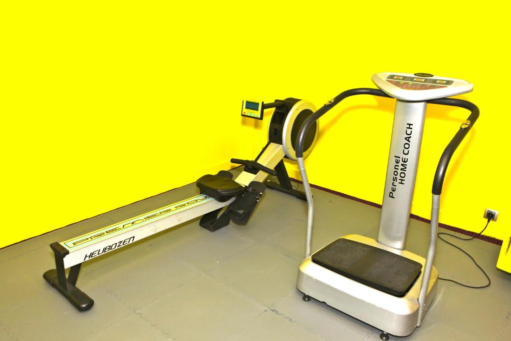 Fitness centrum a/nebo fitness zařízení v ubytování Hôtel Les Trois Roses, Meylan Grenoble