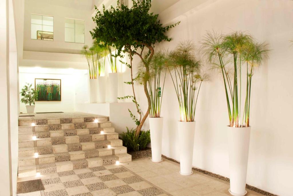Foto da galeria de Tierra Viva Arequipa Plaza em Arequipa
