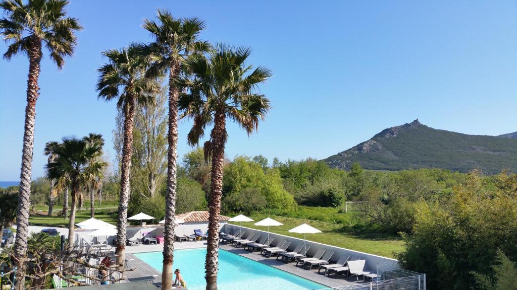 vistas a una piscina con palmeras y sillas en Hôtel Restaurant Les Chasseurs, en Marine de Pietracorbara