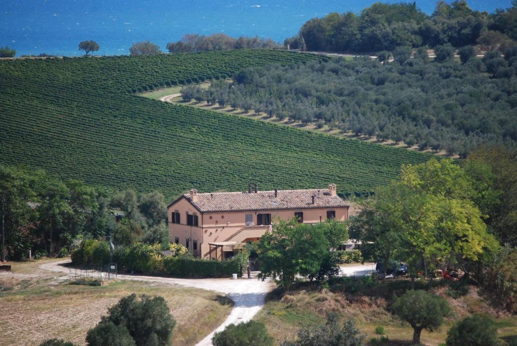 an estate in the middle of a vineyard at Casale Le Maschere in Numana