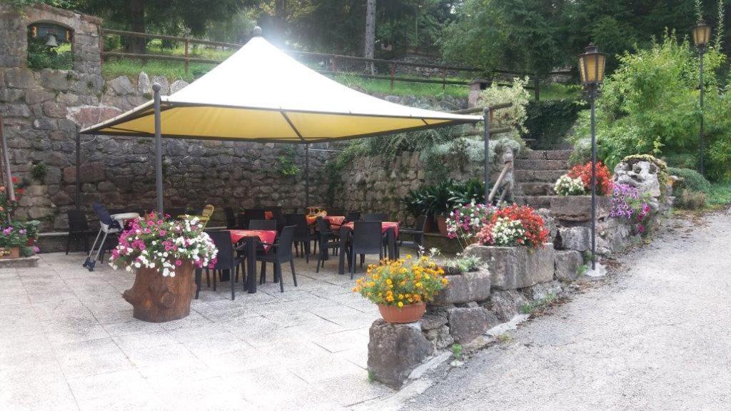 Zahrada ubytování Hotel Belfort