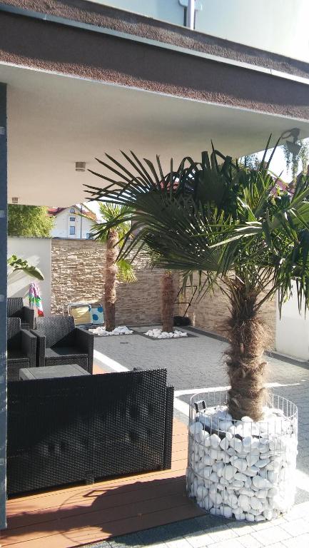 Willa Exotic kryty basen - 15