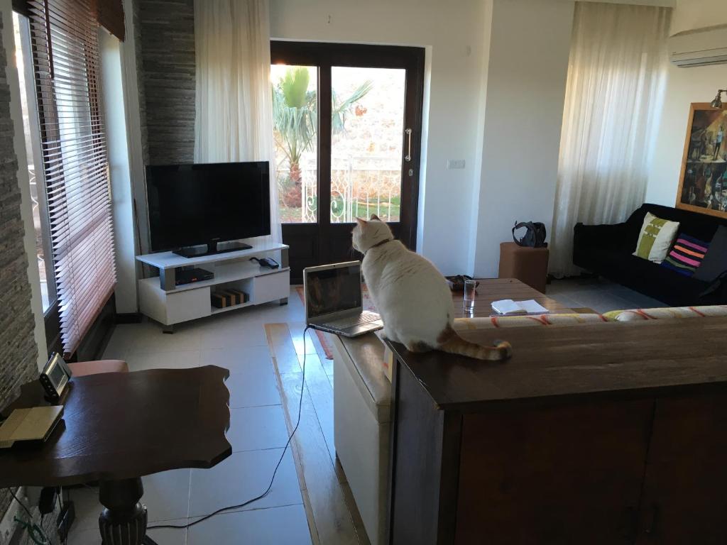 TV a/nebo společenská místnost v ubytování Derya Beach Apartment