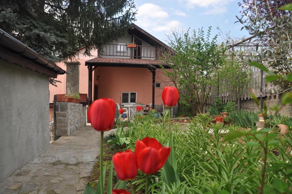 a garden with red tulips in front of a house at Holiday Home Vilata in Kŭrdzhali