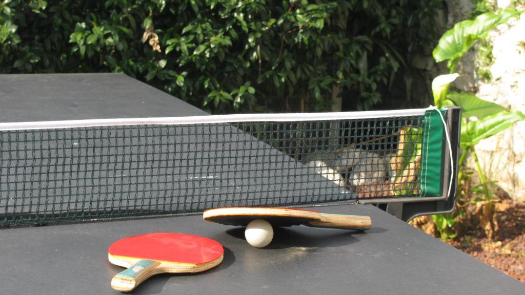 Stolní tenis v ubytování Hotel Villa Claudia nebo okolí