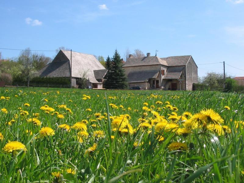 een veld met gele bloemen voor een huis bij Gite du Repos in Amondans