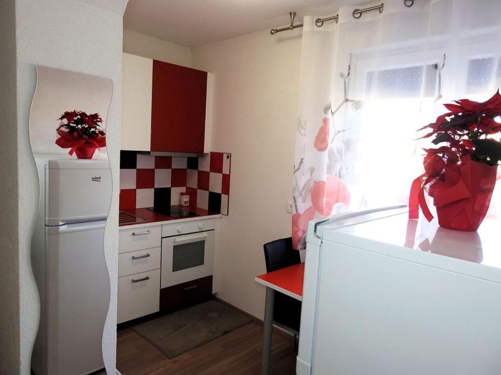 Apartmaji Sobe Zvezda - Apartamento De Una Habitación Con Terraza