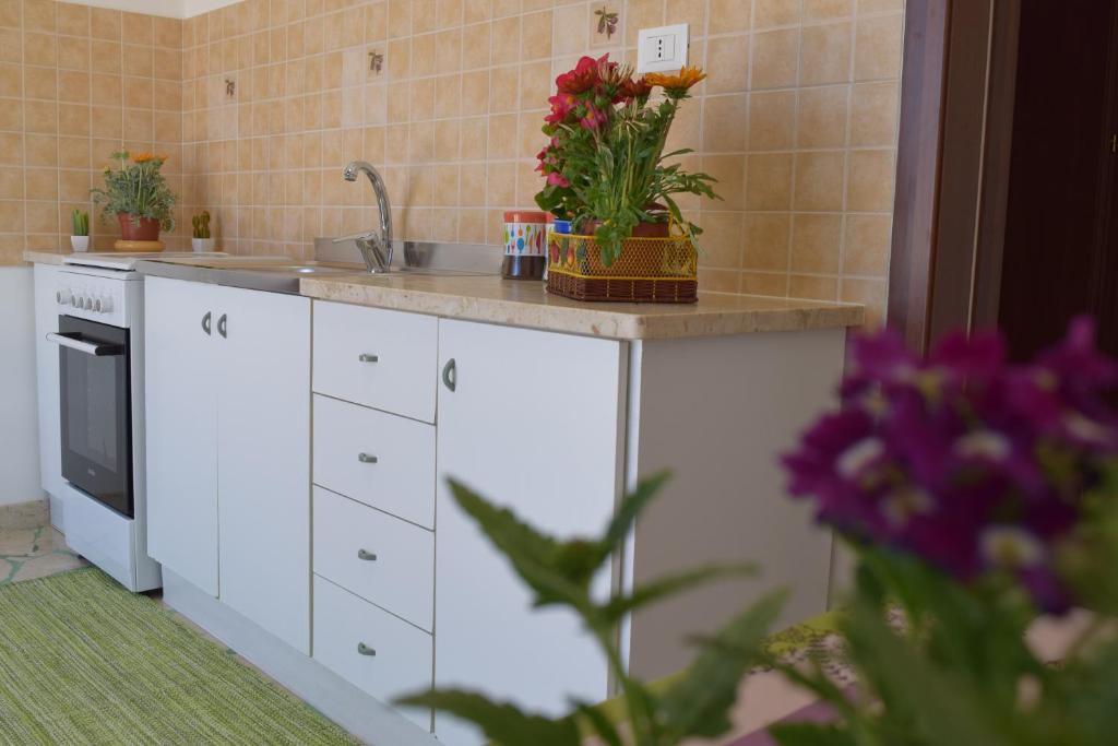 Kuchyňa alebo kuchynka v ubytovaní La Casa dei Fiori