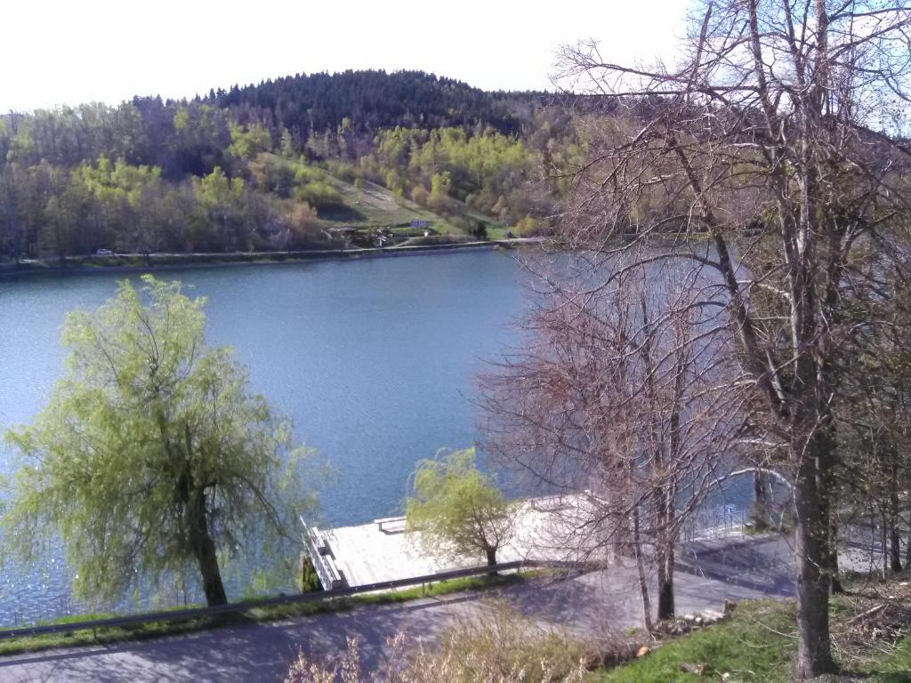 vista su un lago con alberi in primo piano di Apartment Kovacevic a Fužine