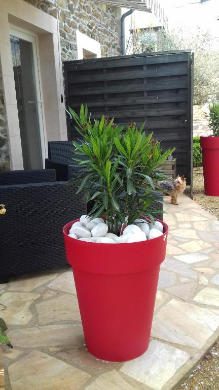 a red pot with a plant in it on a patio at Le TY VIAN in Gommenecʼh