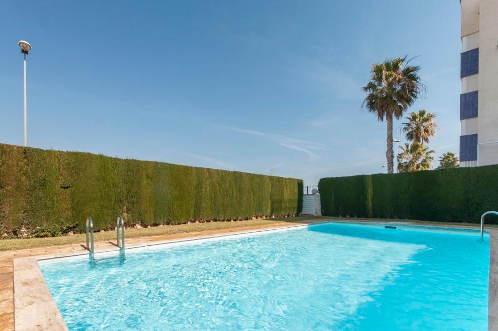 a swimming pool next to a fence and a palm tree at Bolitx in Oliva