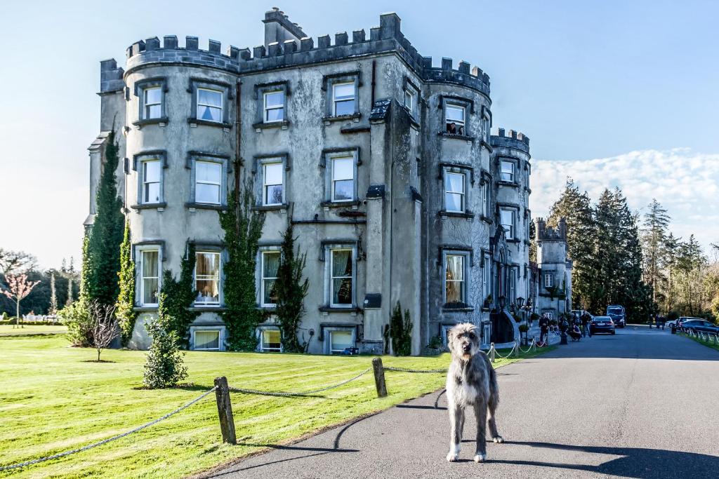 a woman walking down the street with a dog at Ballyseede Castle in Tralee