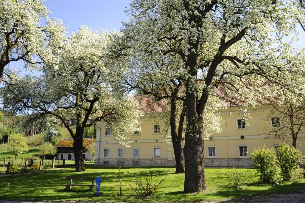 Zahrada ubytování 24/7 Zimmer Asten