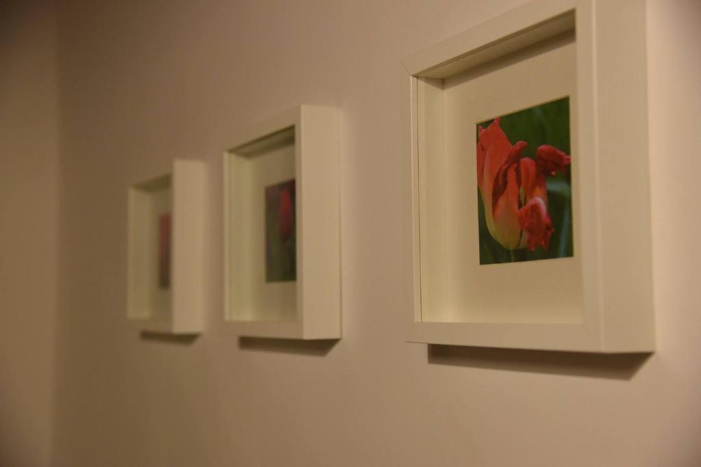 Fotografie z fotogalerie ubytování Das Tulpen Apartment v destinaci Weiden am See