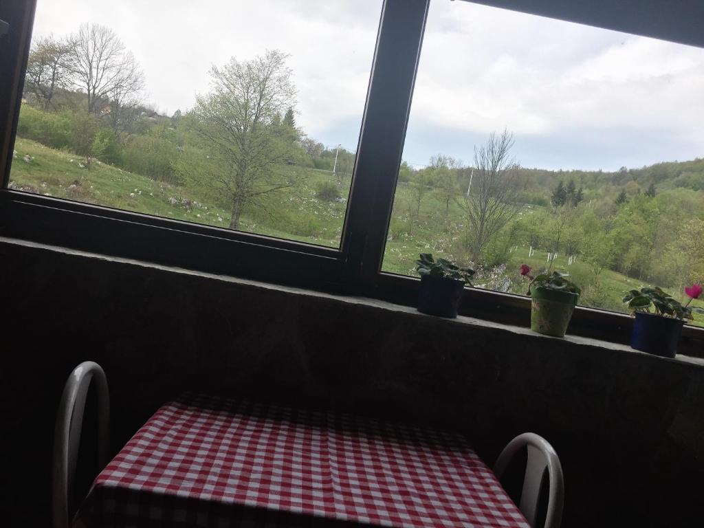 Príroda v okolí penziónu