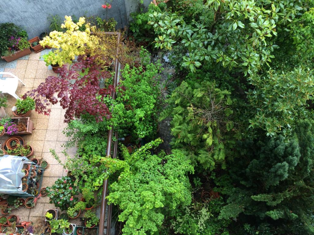 Mirasierra - Chambre Double Avec Vue Sur Le Jardin