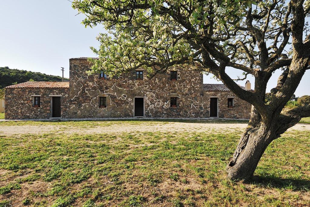 un antiguo edificio de piedra con un árbol en primer plano en Stazzu Coiga en Aggius