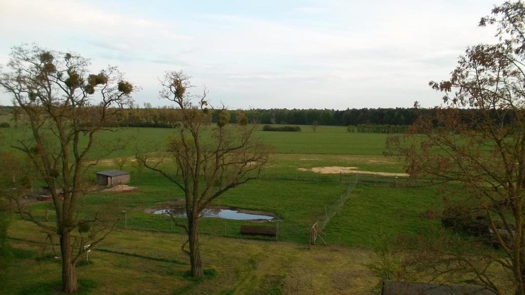 Příroda nedaleko hotelu