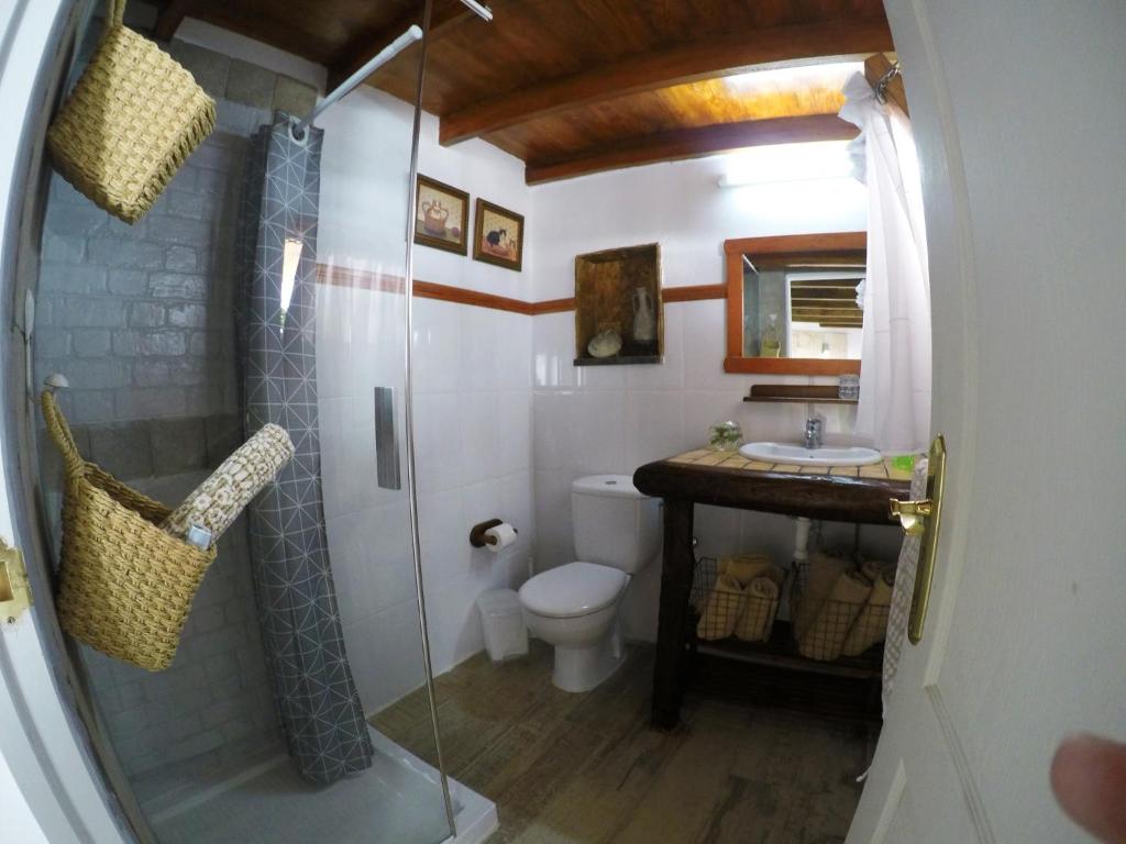 a bathroom with a shower and a toilet and a sink at La Casita De Juani in Santa Maria de Guia de Gran Canaria