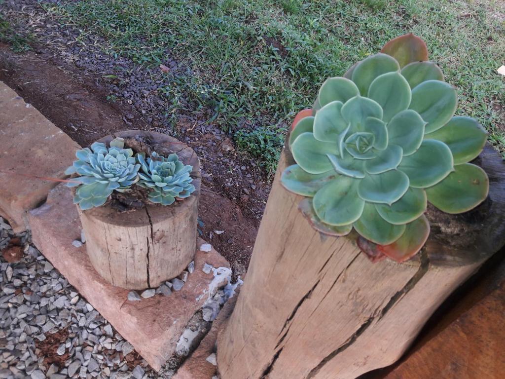 Sitio Recanto Catuci  Sitio Recanto Catuci