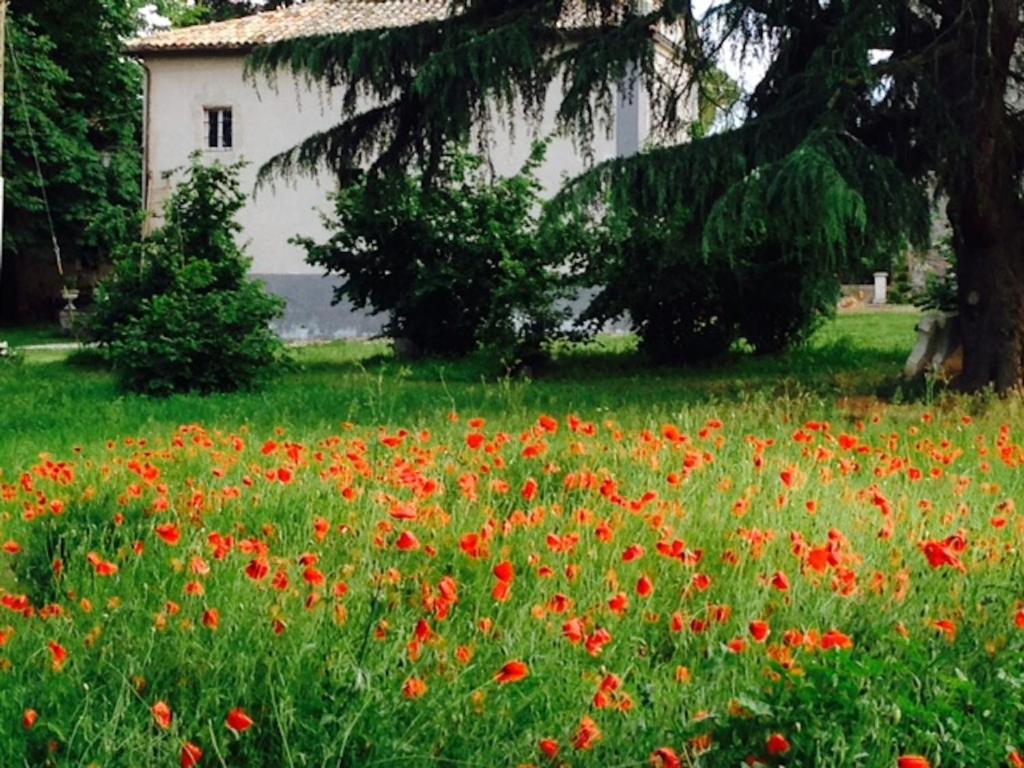 Giardino di Appartamenti Lais in Sipicciano