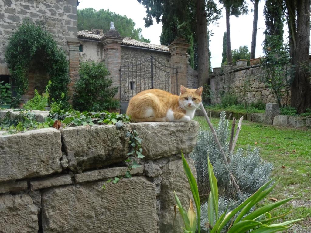 Ospiti di Appartamenti Lais in Sipicciano con animali domestici
