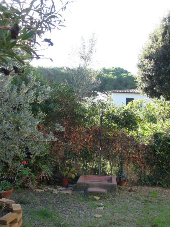 a garden with a bench in front of a fence at Casa Carla in Cavo