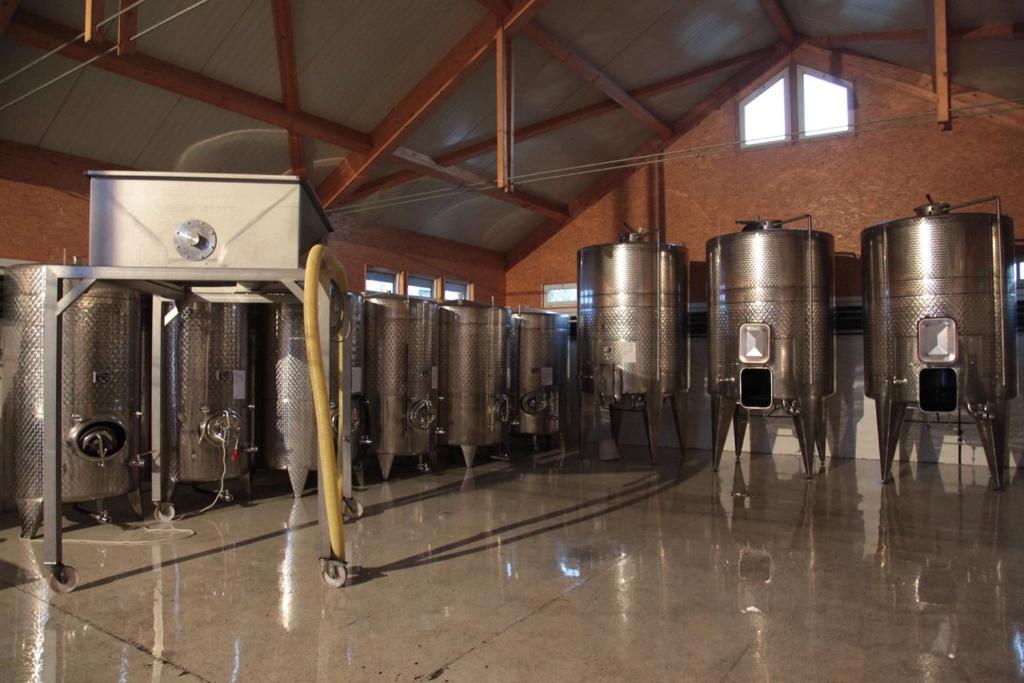 Fotografia z galérie ubytovania Winzerzimmer - Weingut Tinhof v destinácii Eisenstadt