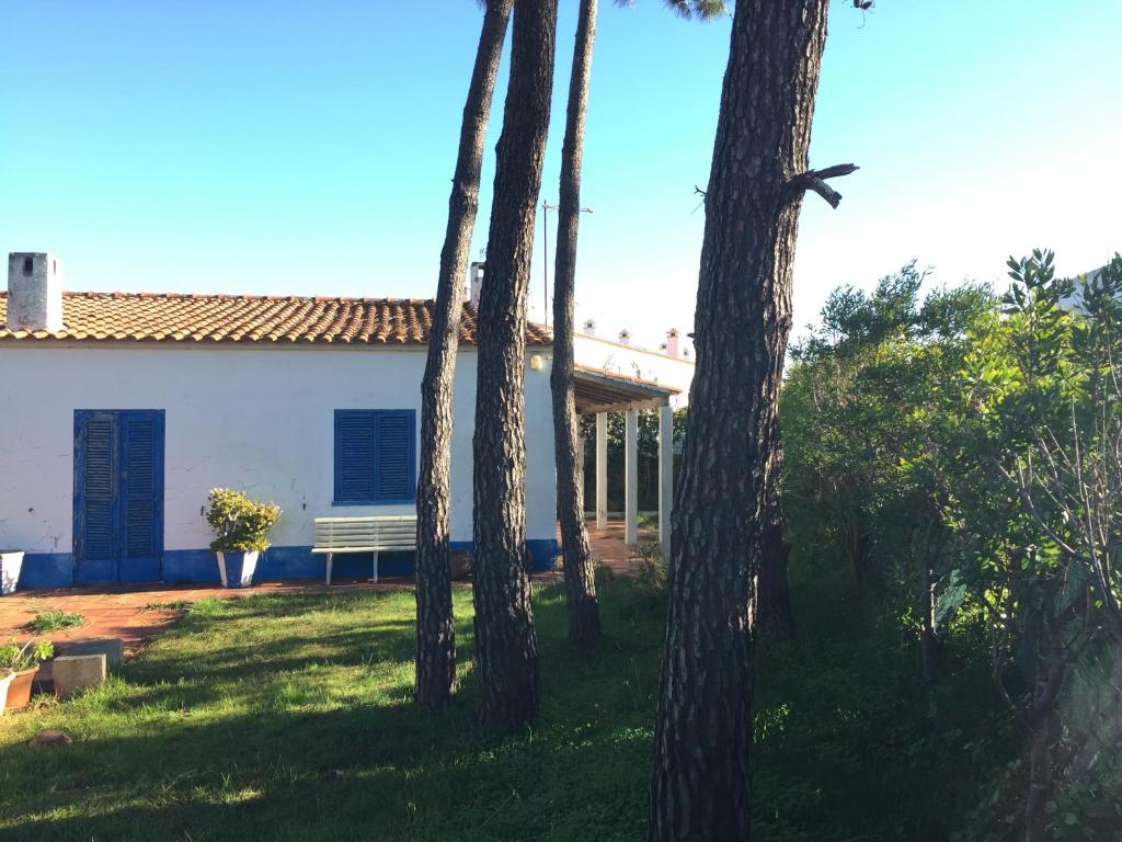 un groupe de palmiers devant une maison dans l'établissement Casalmograve beach house, à Almograve