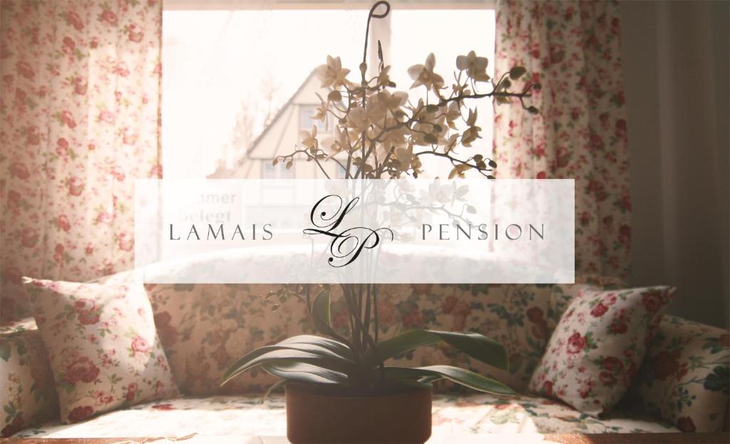 eine Topfpflanze, die auf einem Bett vor einem Fenster sitzt in der Unterkunft Lamai's Pension in Konstanz