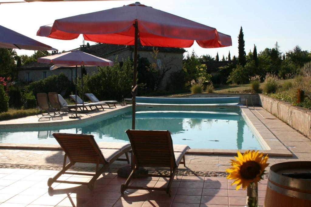 una piscina con sillas, una sombrilla y un girasol en Puechblanc Gîtes et Chambre d'hôte dans le Triangle d'or Gaillac-Albi-Cordes sur Ciel, en Fayssac