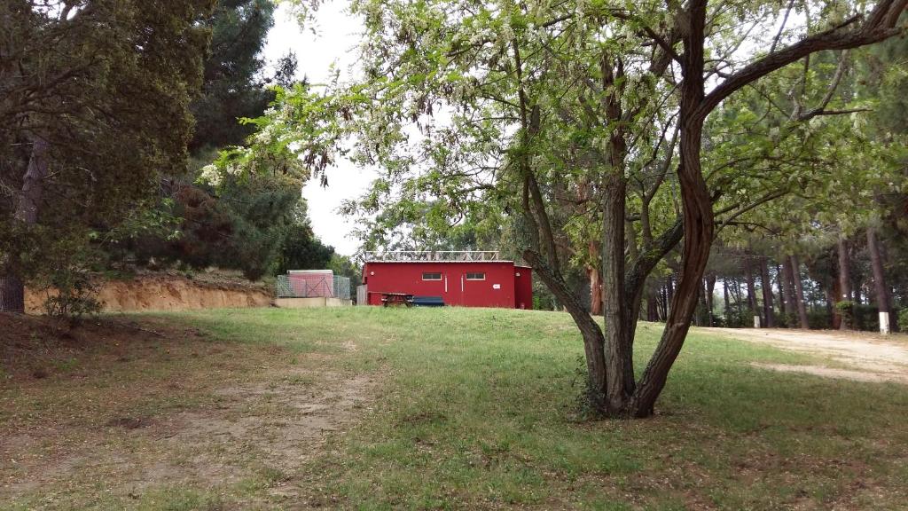 Zahrada ubytování Camping U Moru