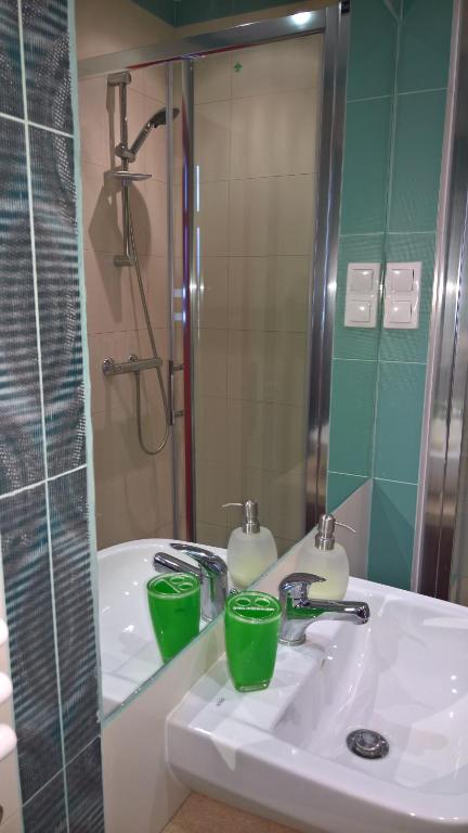 Koupelna v ubytování Forsycja