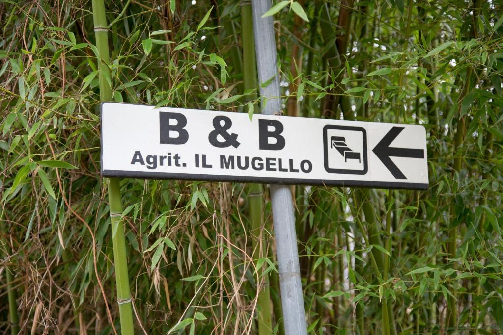 Certifikát, hodnocení, plakát nebo jiný dokument vystavený v ubytování Il Mugello B&B