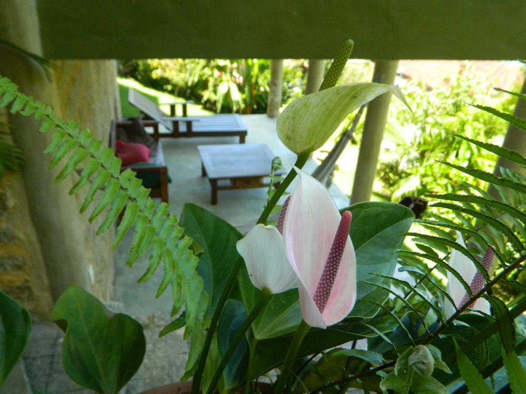  Casa Paraty
