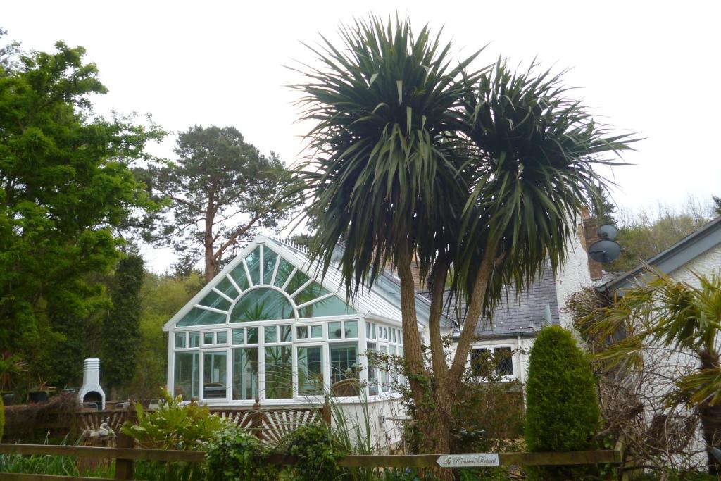 uma casa com uma palmeira em frente em The Ramblers Retreat em Abergele