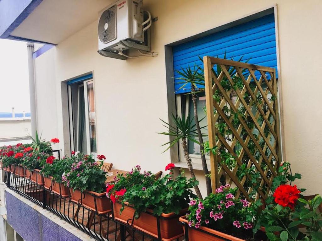 Zahrada ubytování B&B Paradiso Relais