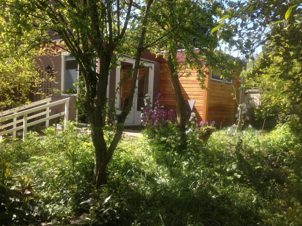 a house with a yard with trees and flowers at Het Duintje in Castricum