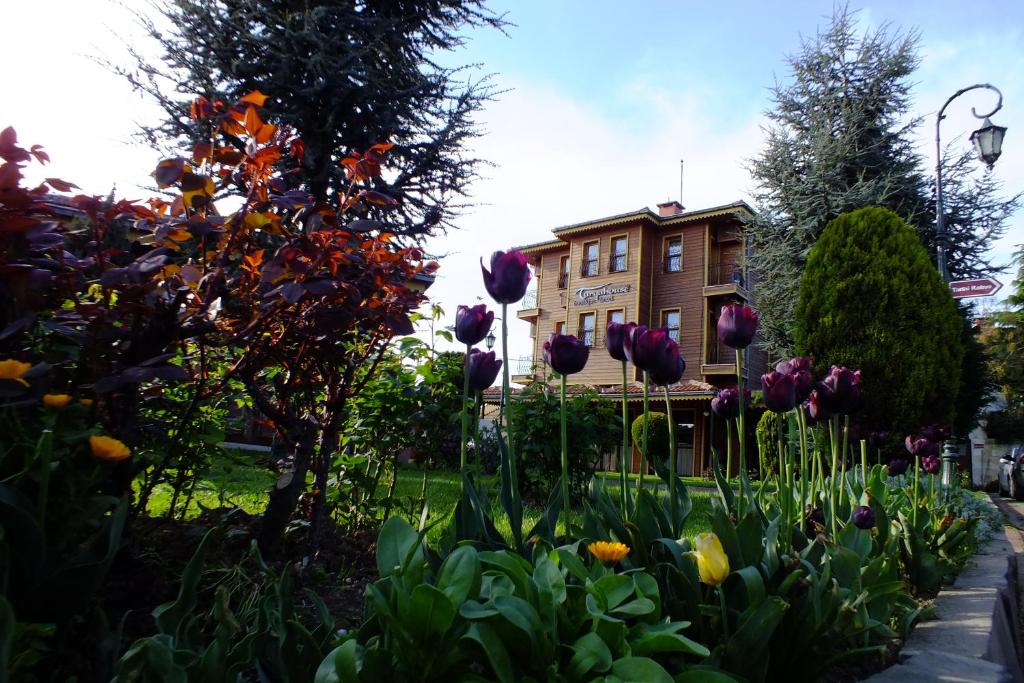 a garden with purple flowers in front of a house at Turquhouse Hotel in Istanbul