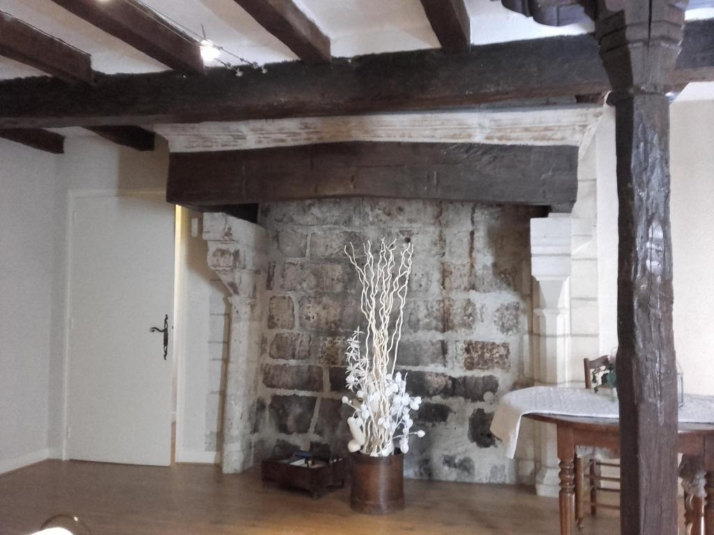 a room with a stone fireplace with a plant in it at La Maison Rouge in Chinon