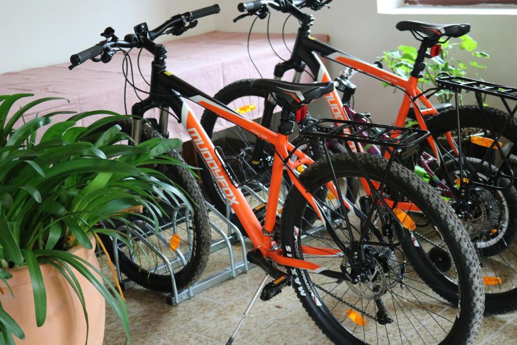 Jazda na bicykli v okolí ubytovania Biohof Schmiedbauer