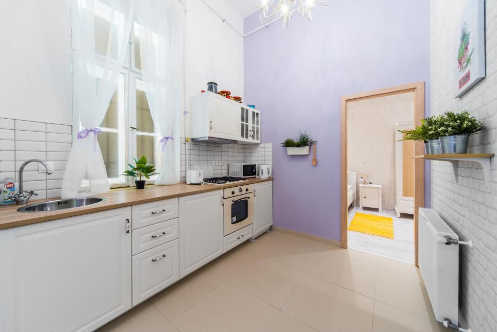 Kuchyňa alebo kuchynka v ubytovaní Dominika Apartment
