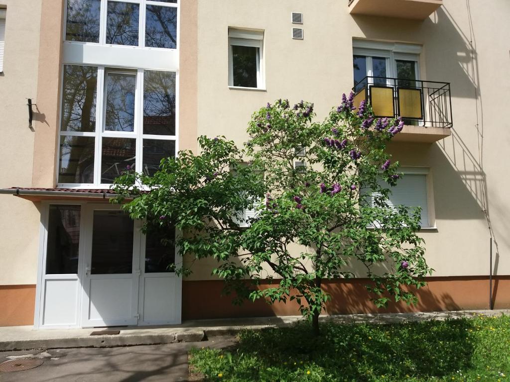 Vonkajšia záhrada v ubytovaní Like Apartman