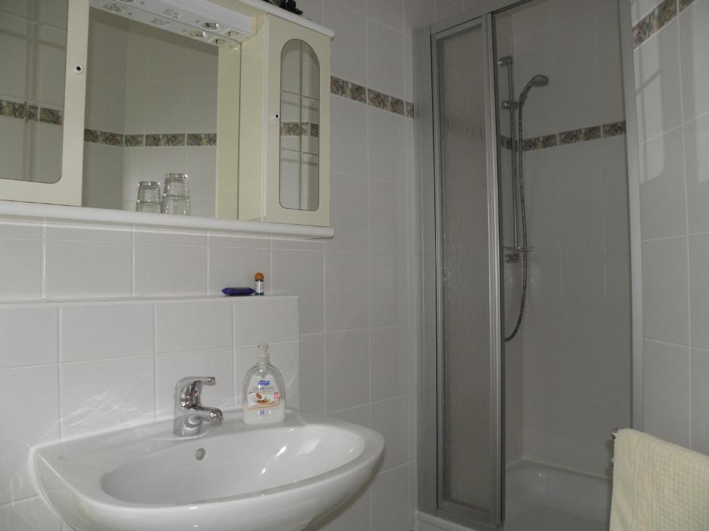 イーザーンハーゲンにあるFelixanum Hotel & Galerieの白いバスルーム(シンク、シャワー付)