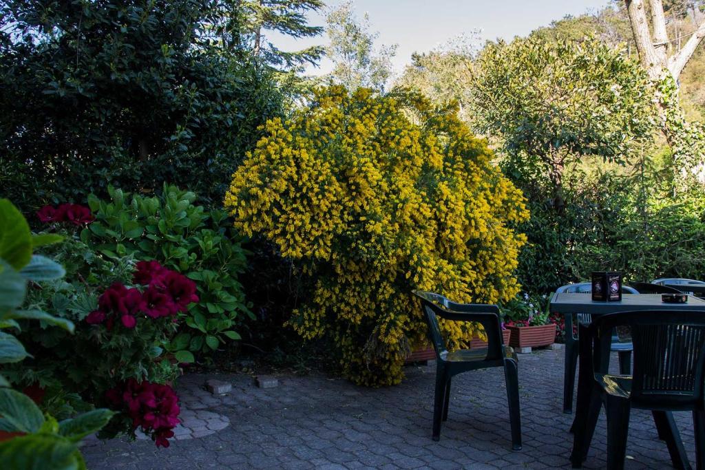 Zahrada ubytování Hotel Silvia Framura - Cinque Terre
