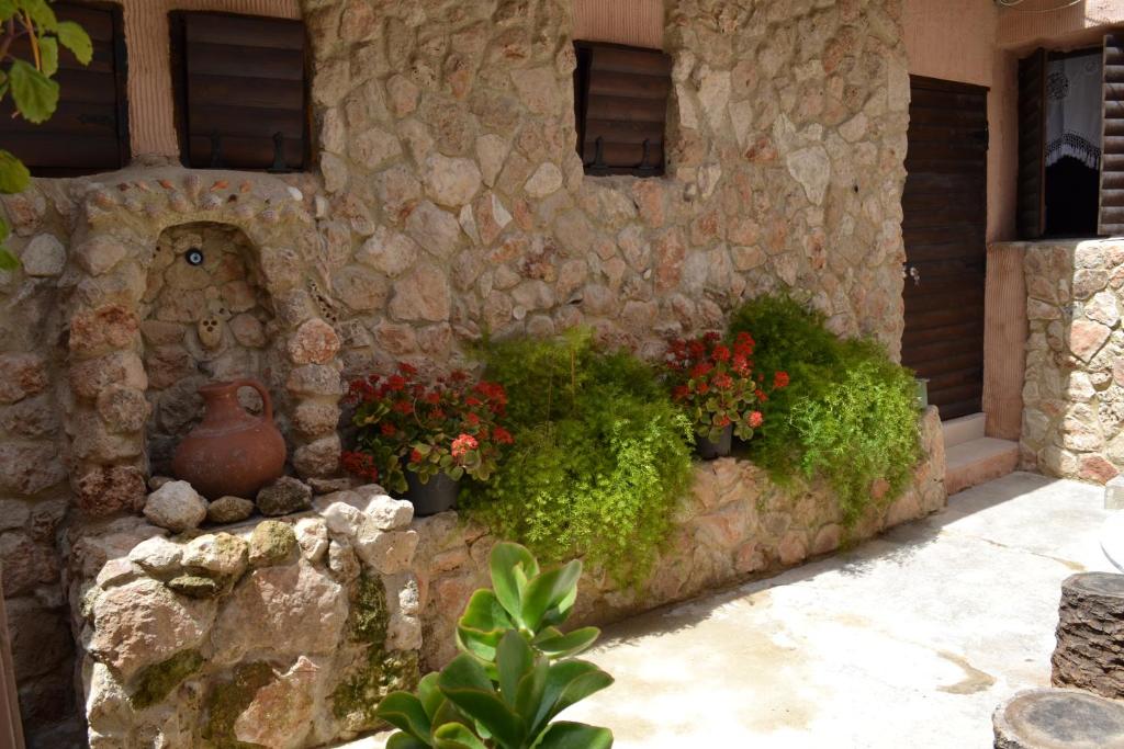 Zahrada ubytování Mystery Garden Guest House