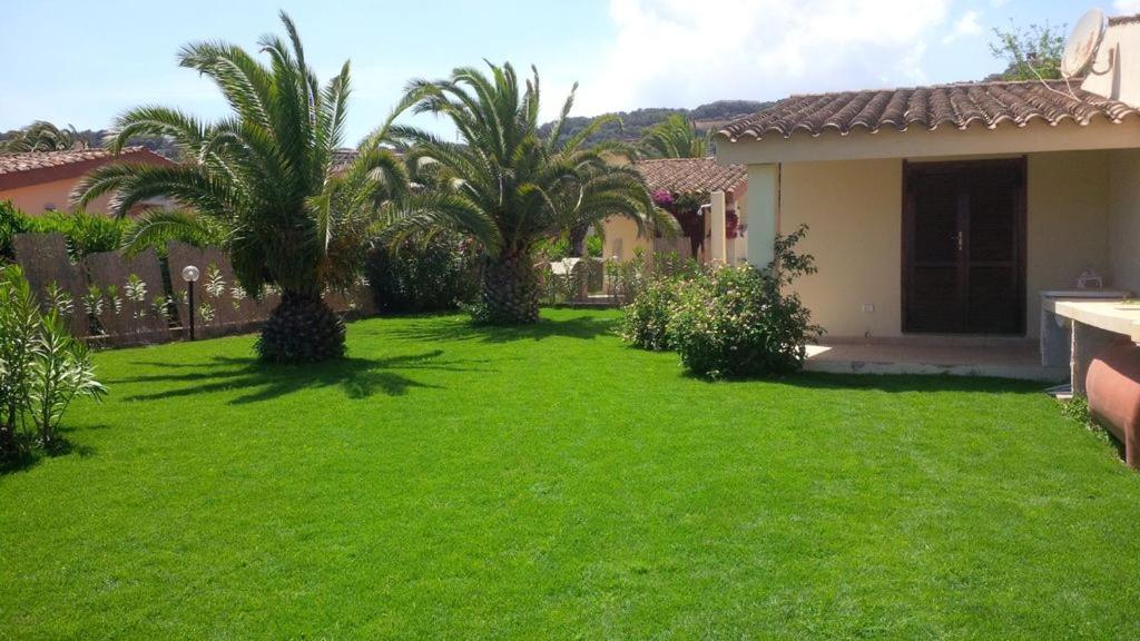 einen Hof mit Palmen und einem Haus in der Unterkunft Villino Mimosa in Costa Rei