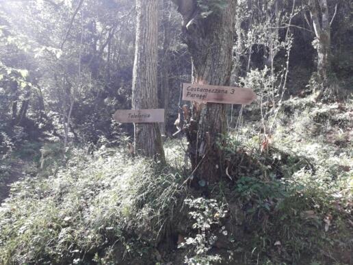 two signs on two trees in a forest at Trekking in paradise B&B in Santa Margherita Ligure