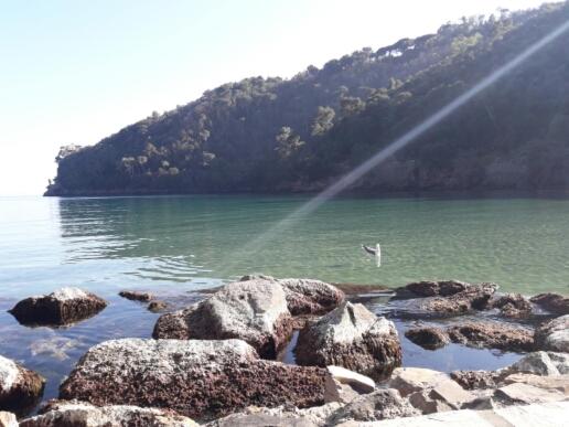 a stream of water with a bird in the water at Trekking in paradise B&B in Santa Margherita Ligure